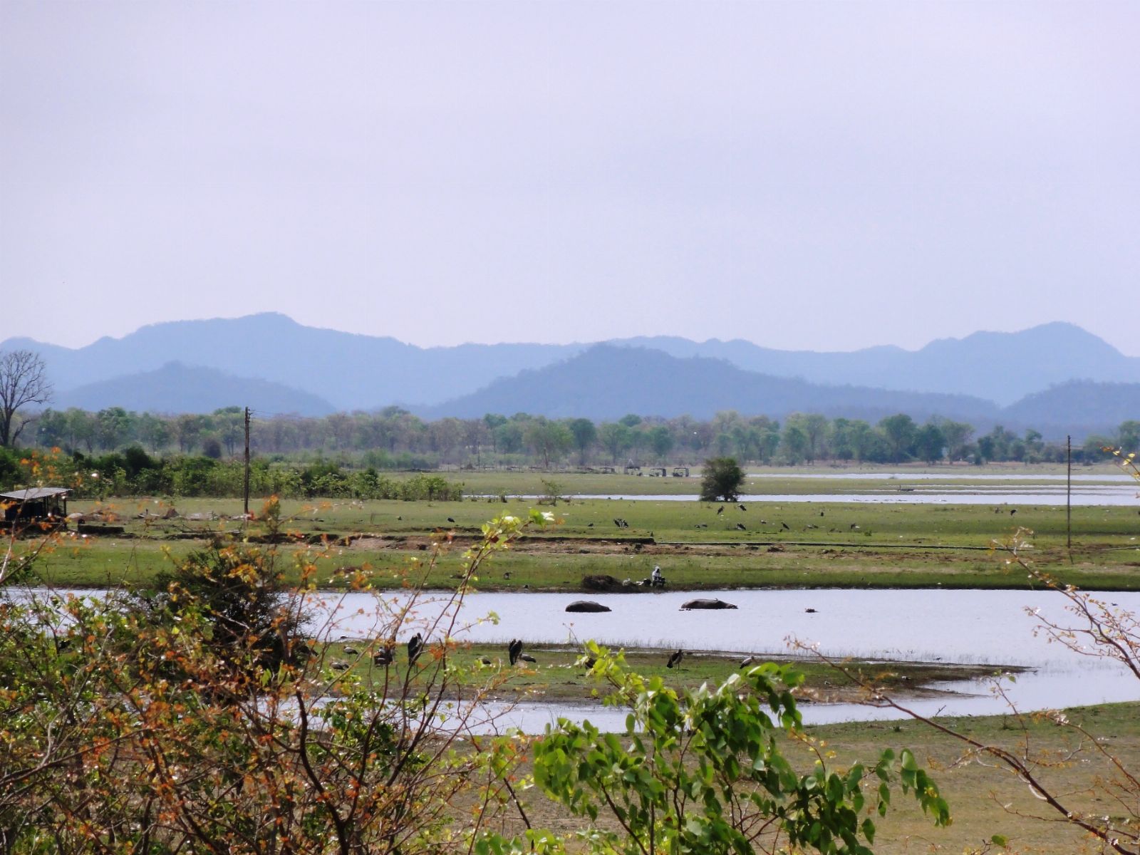 Kariba